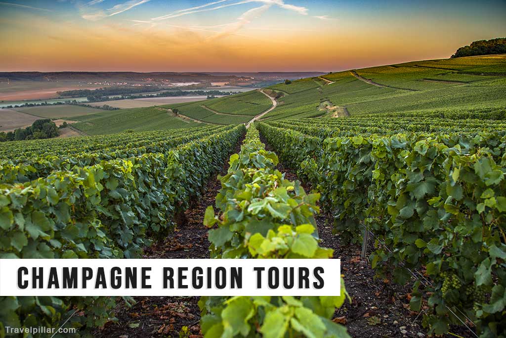 Champagne Winery and Vineyard Tours