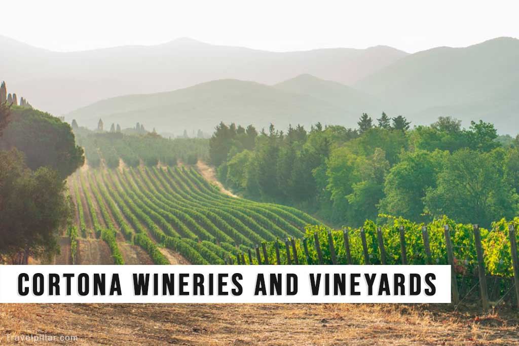Cortona Wineries and Vineyards