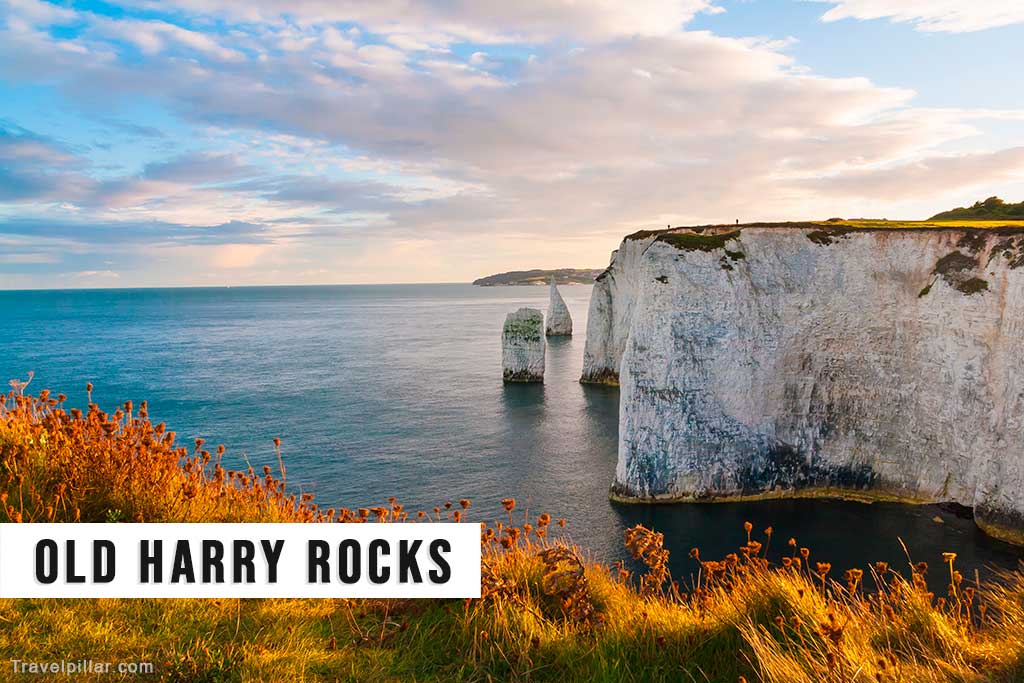 Old Harry Rocks, Dorset