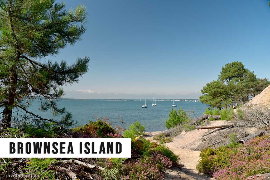 Brownsea Island, Poole Harbour, Dorset