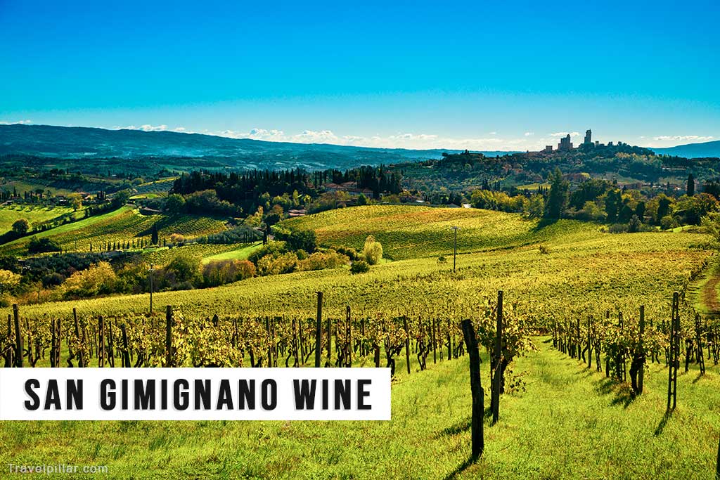 San Gimignano Wineries and Wine Tasting, Tuscany