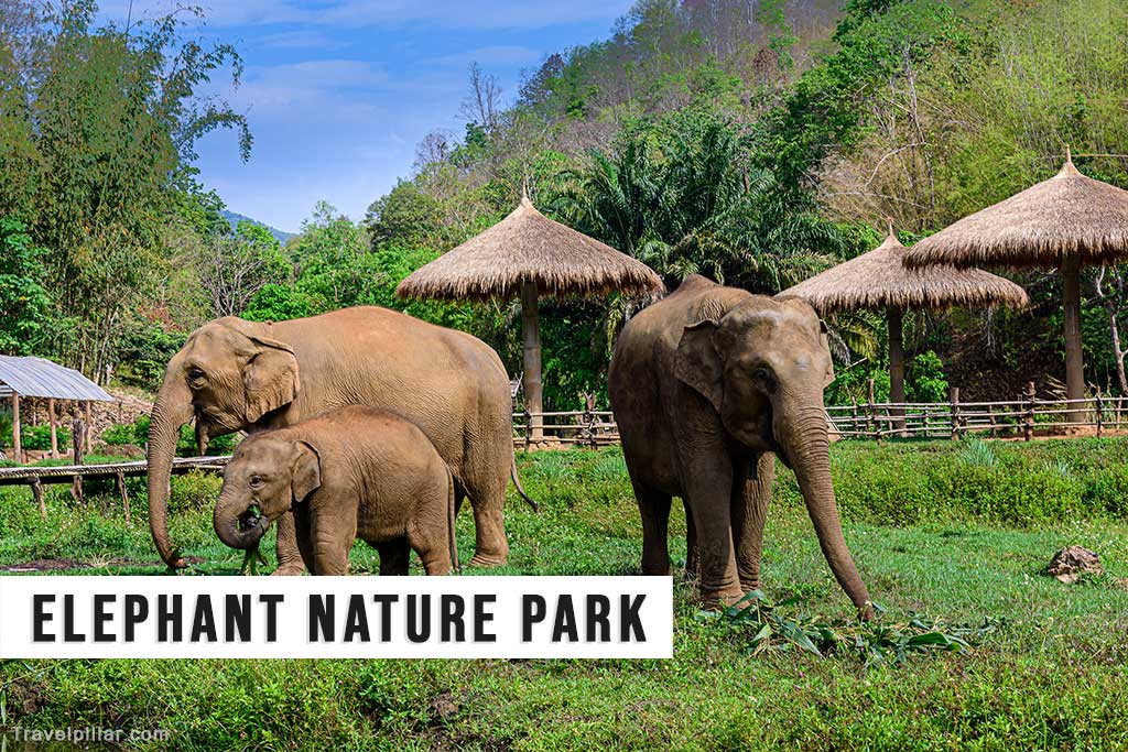 Elephant Nature Park, Chinag Mai, Thailand