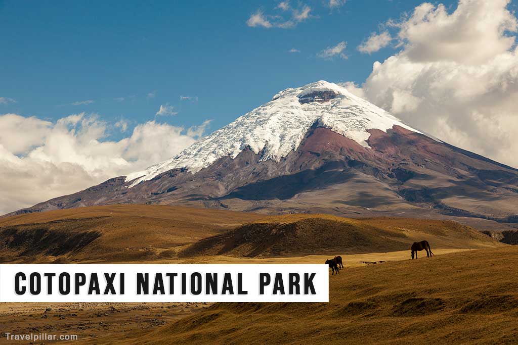 Cotopaxi National Park, Ecuador