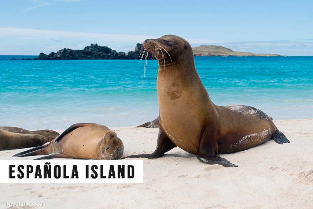 Espanola Island, Galapagos Islands, Ecuador