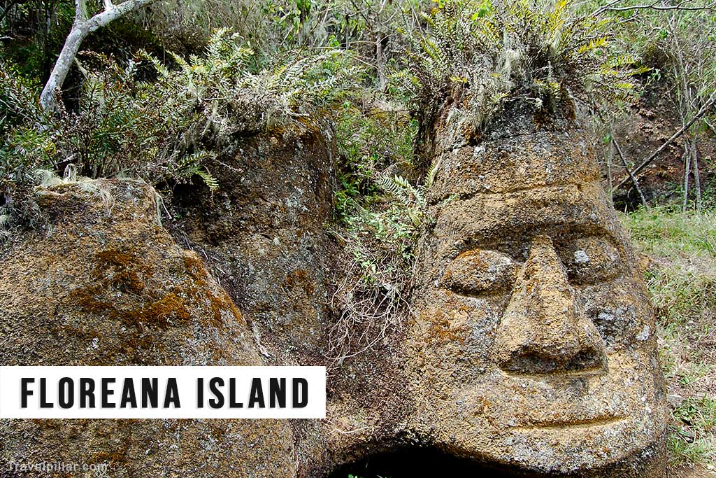 Floreana Island, Galapagos Islands, Ecuador