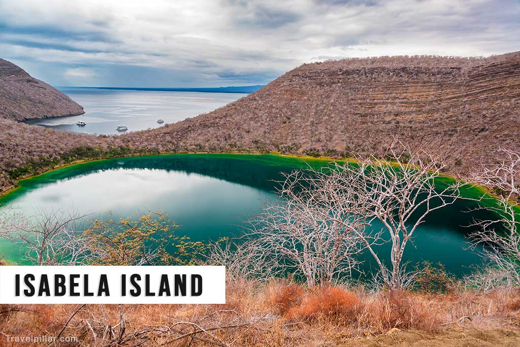 Isabela Island, Galapagos Islands, Ecuador