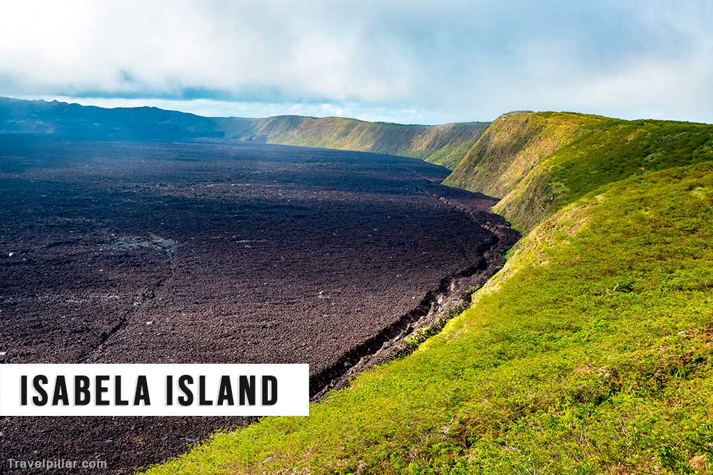 Isabela Island, Galapagos Islands, Ecuador