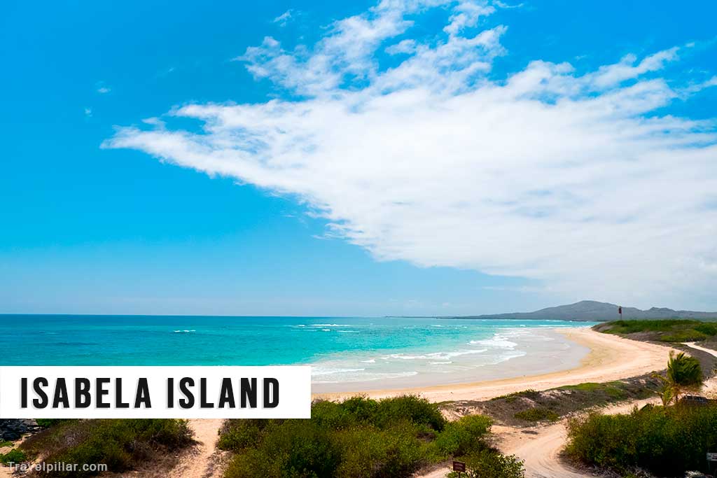 Isabela Island, Galapagos Islands, Ecuador