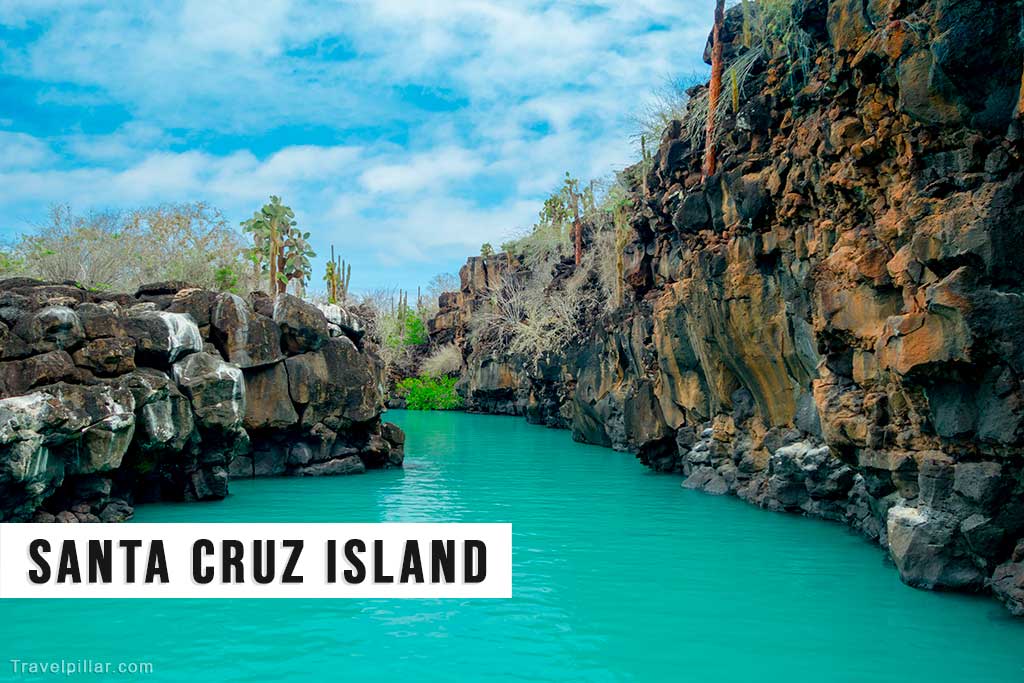 Santa Cruz Island, Galapagos Islands, Ecuador
