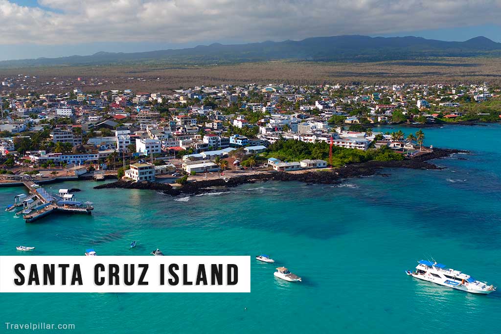 Santa Cruz Island, Galapagos Islands, Ecuador