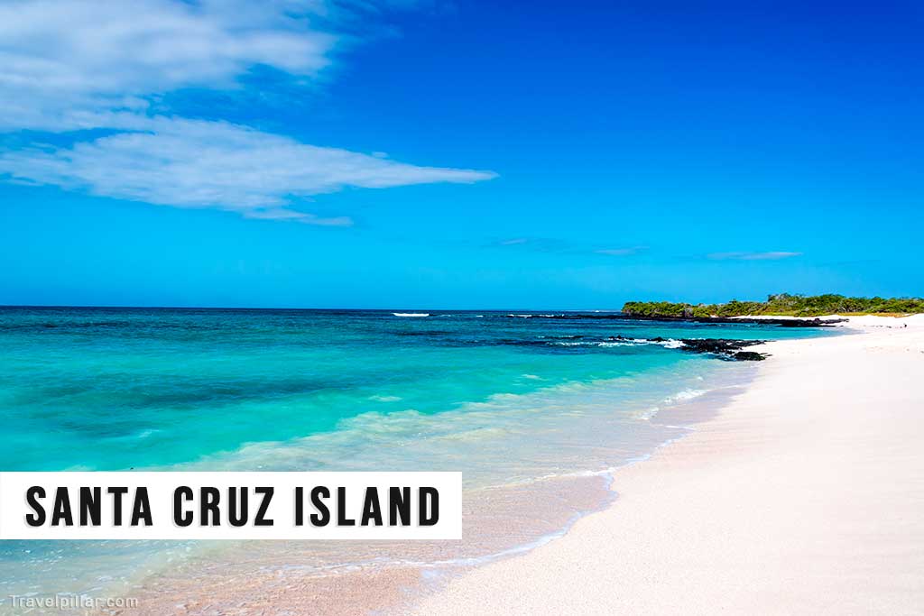 Santa Cruz Island, Galapagos Islands, Ecuador