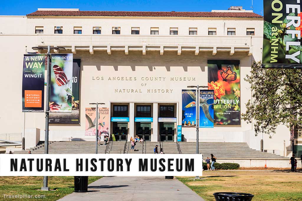 Los Angeles County Museum of Natural History, California, USA