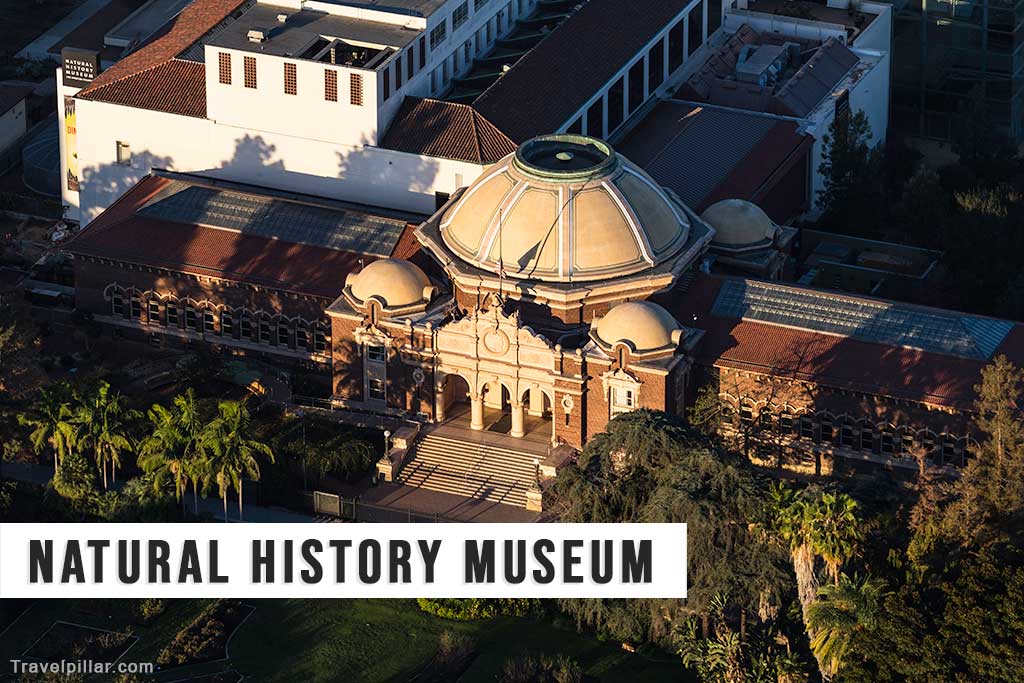 The Natural History Museum of Los Angeles County