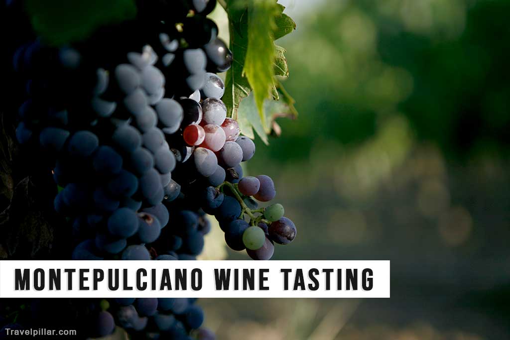 Montepulciano Historic Cellars and Wine Tasting