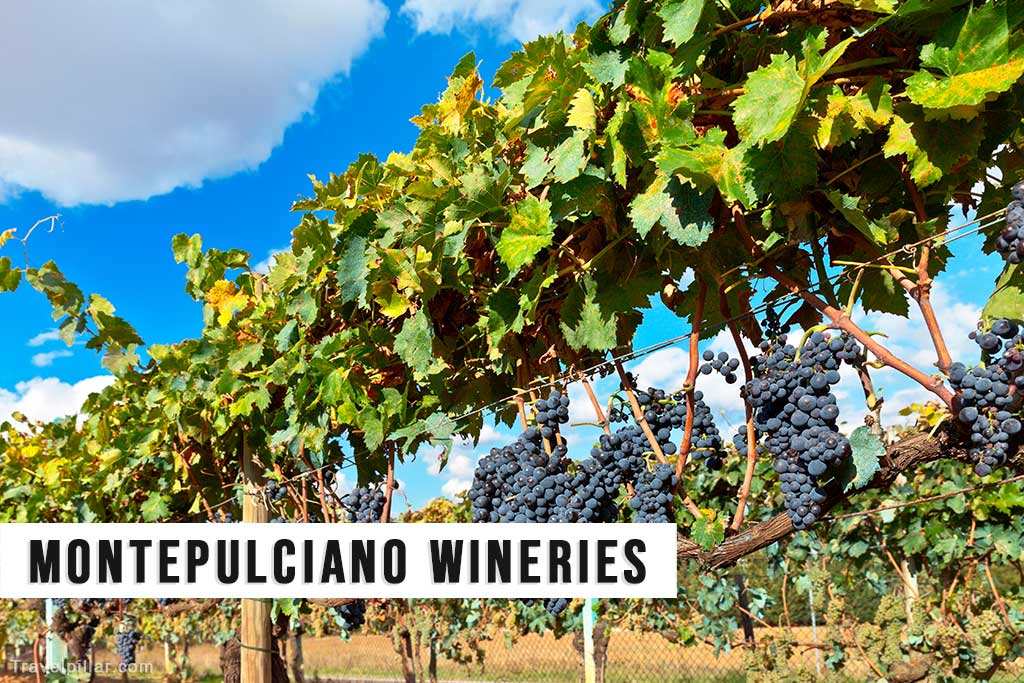 Montepulciano Wineries and Vineyards