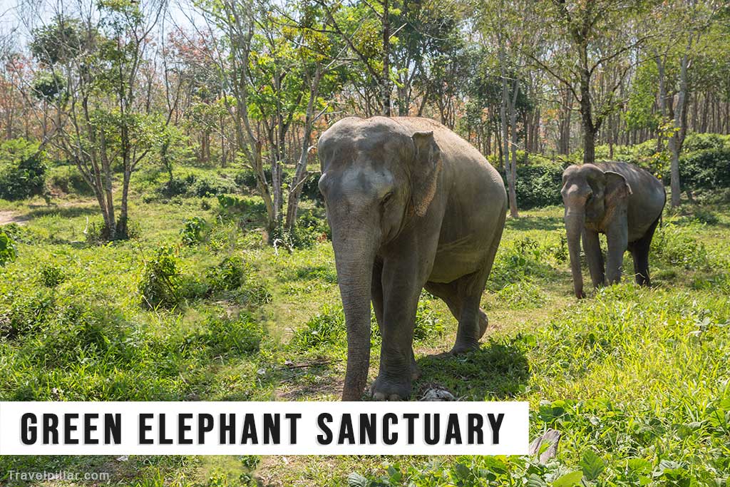 The Green Elephant Sanctuary, Phuket, Thailand