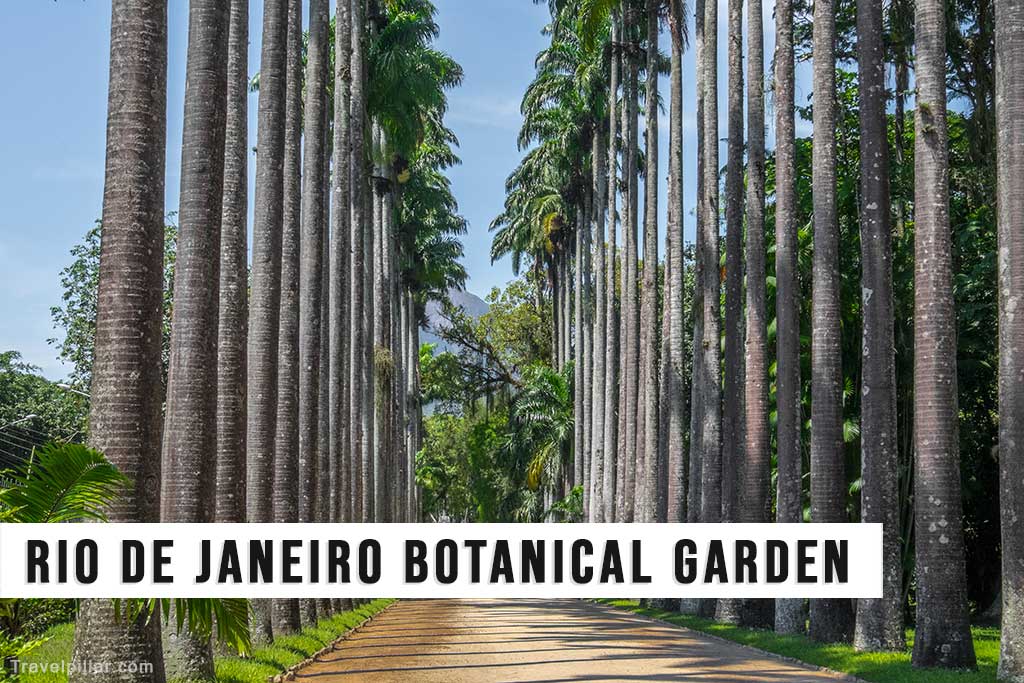 Rio de Janeiro Botanical Garden, Brazil