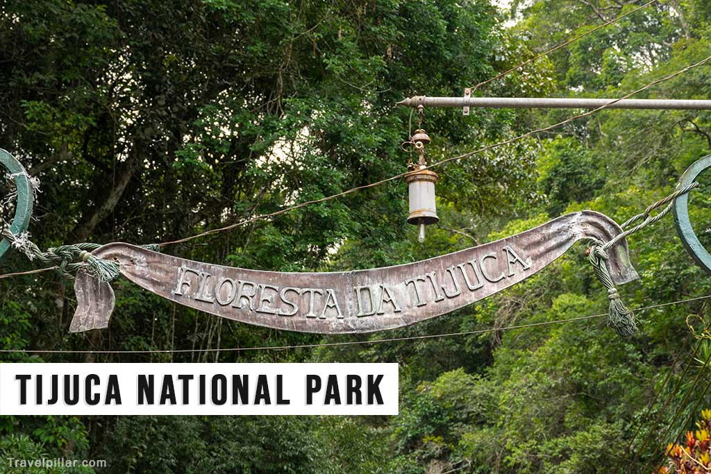 Tijuca National Park, Rio de Janeiro, Brazil