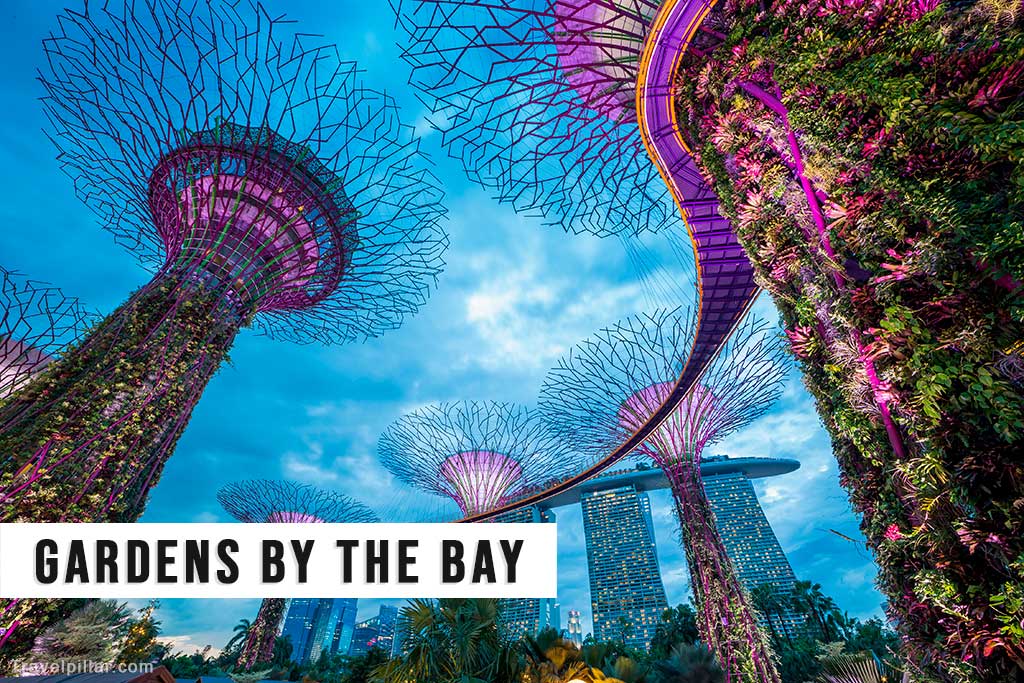 Gardens by the Bay, Singapore