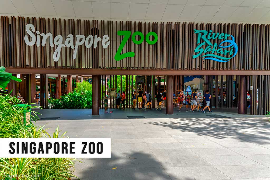 Singapore Zoo