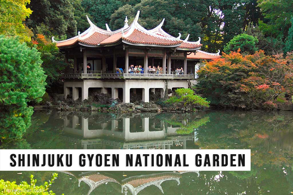 Shinjuku Gyoen National Garden, Tokyo, Japan