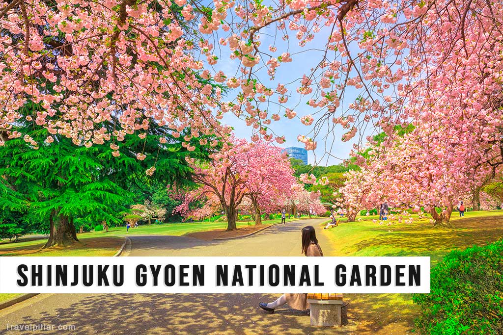 Shinjuku Gyoen National Garden, Tokyo, Japan