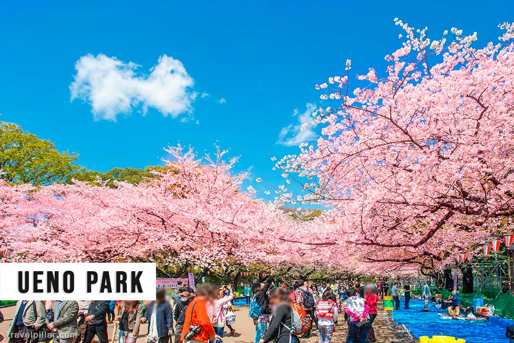 Ueno Park, Tokyo, Japan