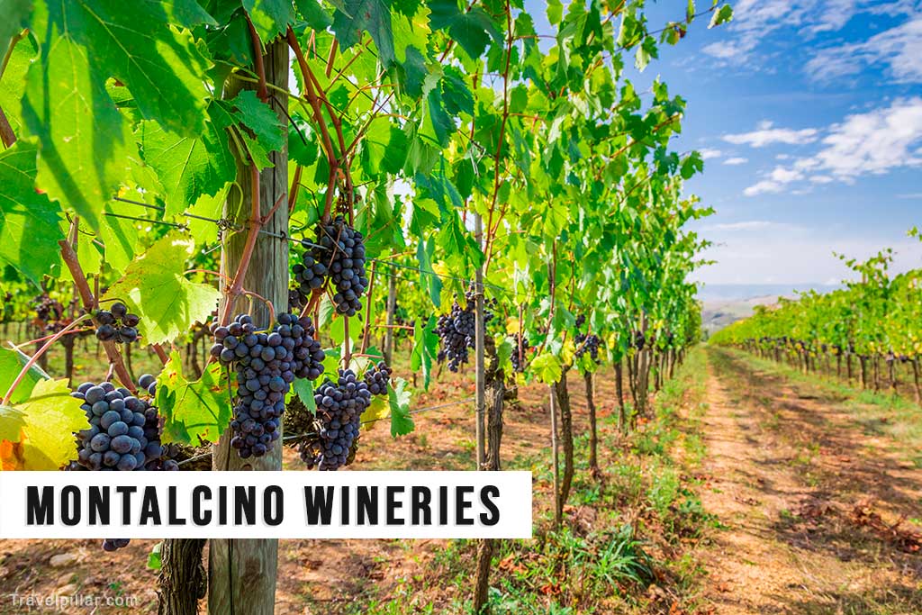 Montalcino Wineries and Wine Tasting, Tuscany