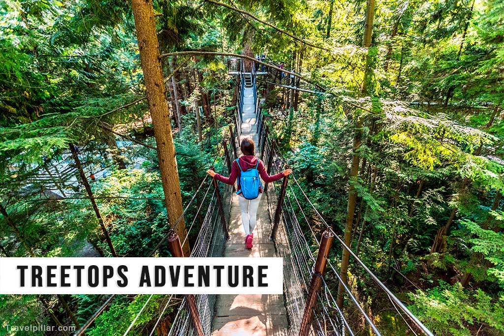 Treetops Adventure, Capilano Suspension Bridge Park, Vancouver, Canada