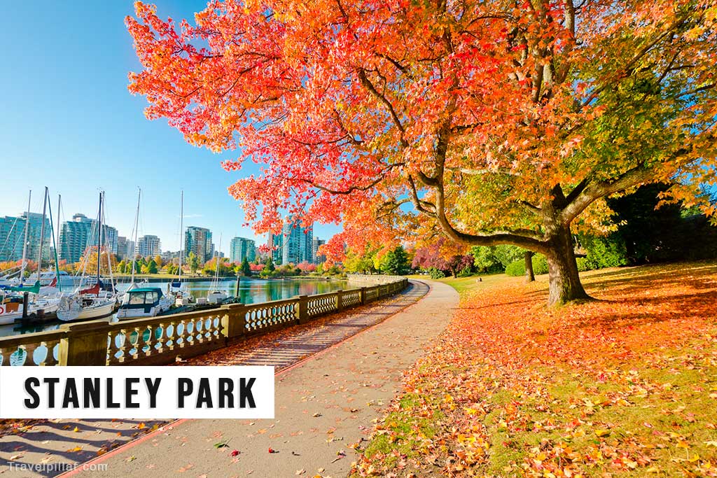 Stanley Park, Vancouver, Canada