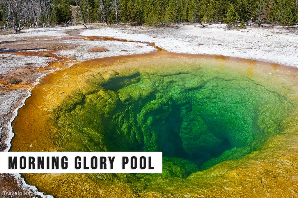 Morning Glory Pool, Yellowstone National Park, USA