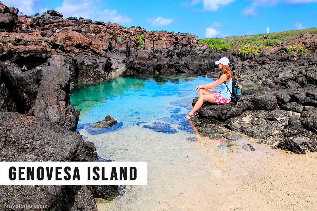 Genovesa Island (Bird Island), Galapagos Islands, Ecuador