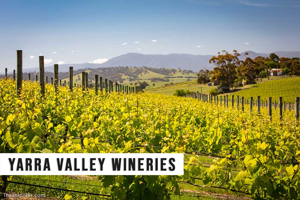 Yarra Valley Wineries, Australia