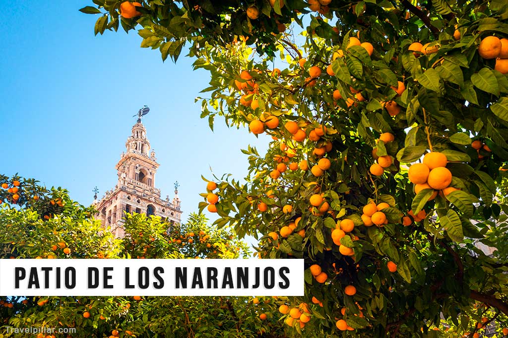 Patio de los Narajas (orange tree courtyard) in Seville Cathedral