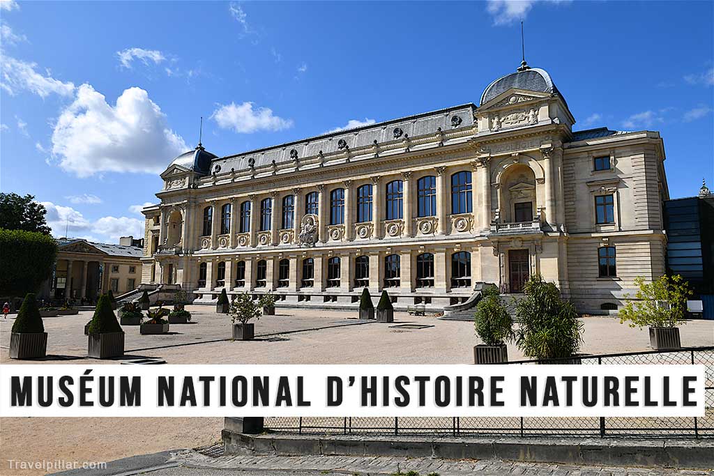 Muséum National d’Histoire Naturelle (Natural History Museum), Paris