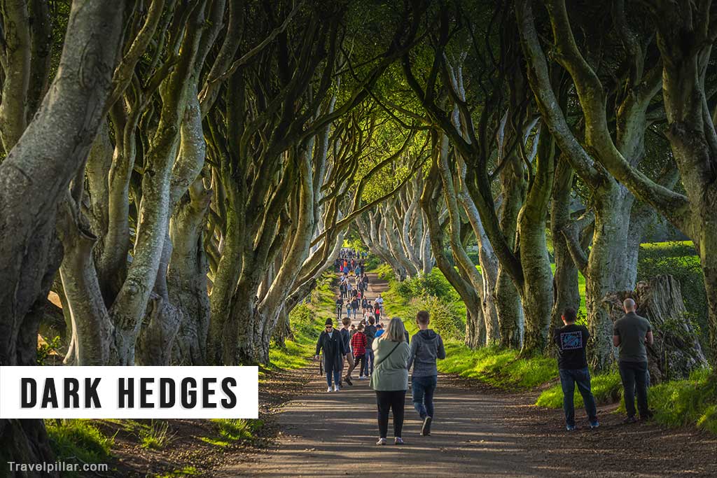 Dark Hedges, Northern Ireland