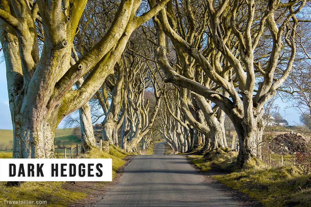 Dark Hedges, Northern Ireland
