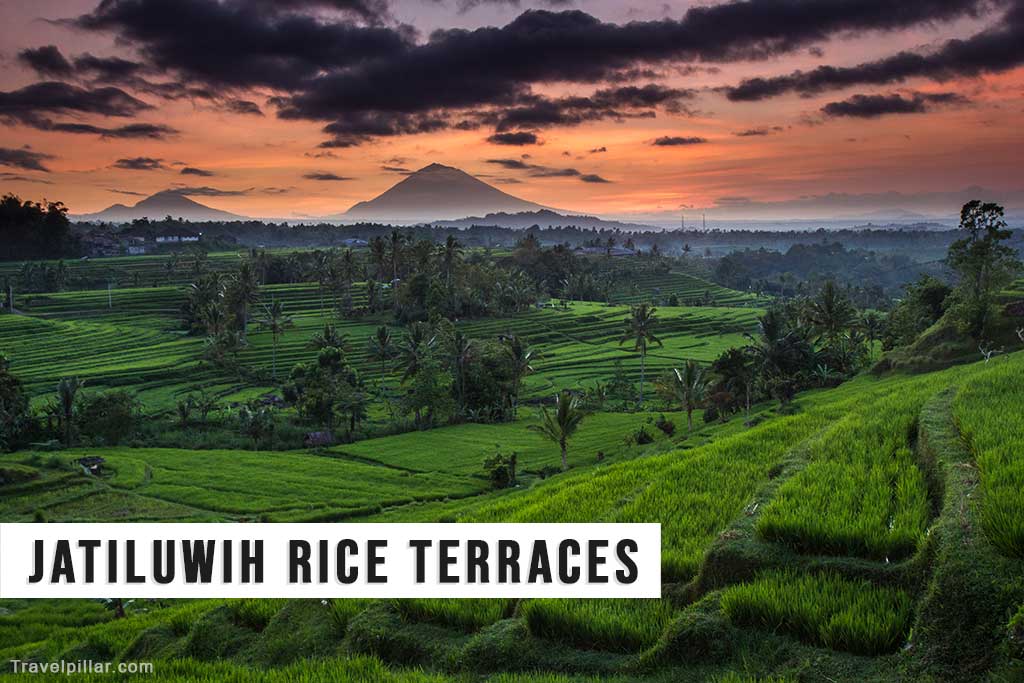 Jatiluwih Rice Terraces, Bali