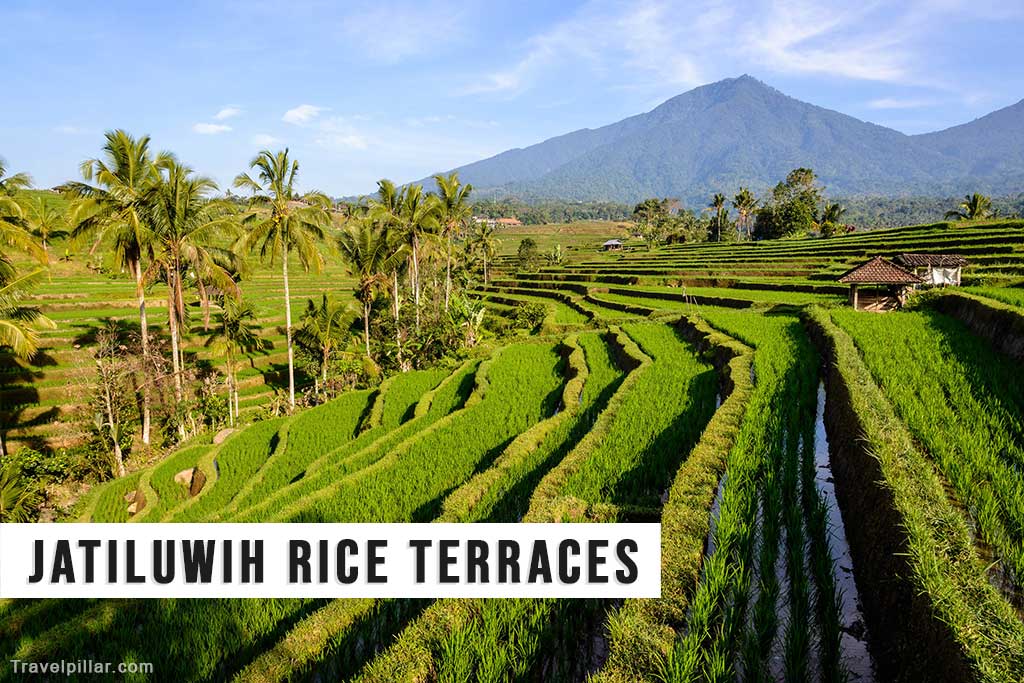 Jatiluwih Rice Terraces, Bali