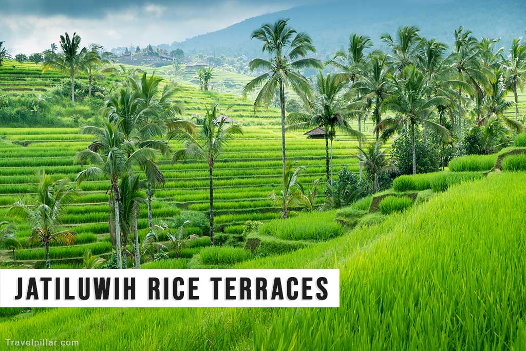 Jatiluwih Rice Terraces, Bali