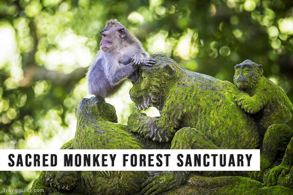 Sacred Monkey Forest Sanctuary, Bali