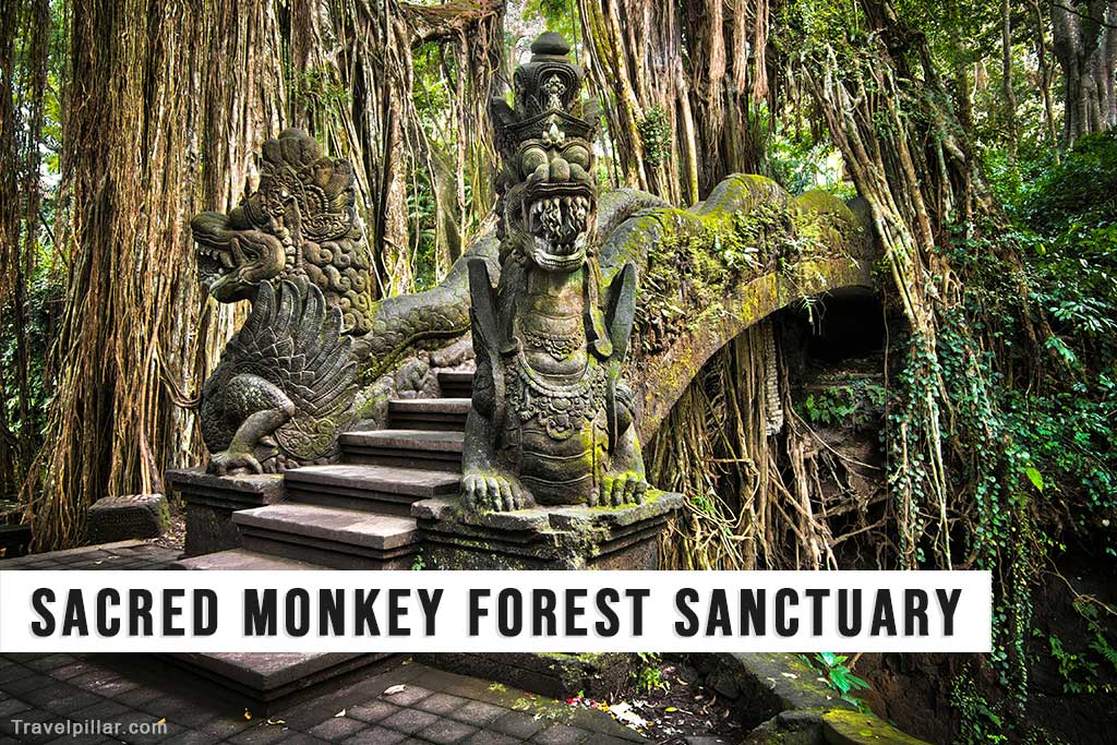 Sacred Monkey Forest Sanctuary, Bali
