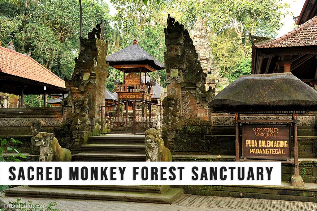 Sacred Monkey Forest Sanctuary, Bali