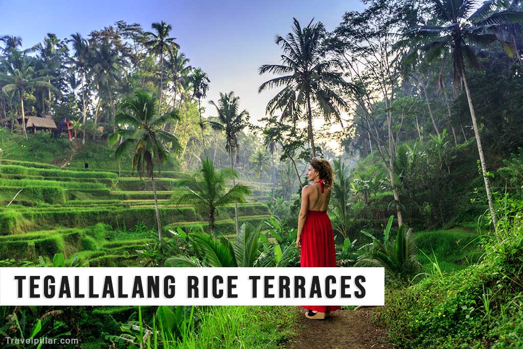 Tegallalang Rice Terraces