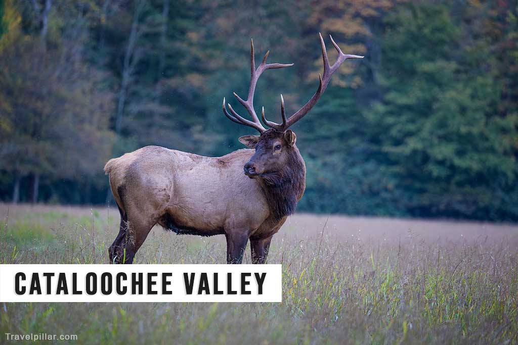 Cataloochee Valley, Great Smoky Mountains NP