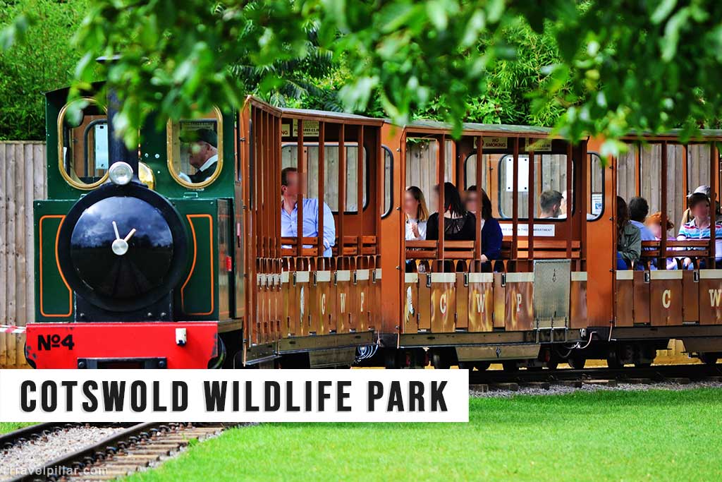 Cotswold Wildlife Park