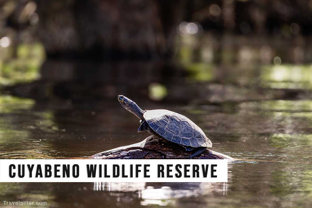 Cuyabeno Wildlife Reserve, Ecuador