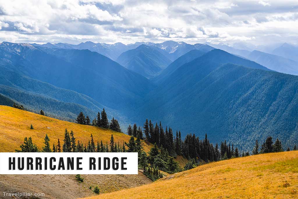 Hurricane Ridge, Olympic National Park