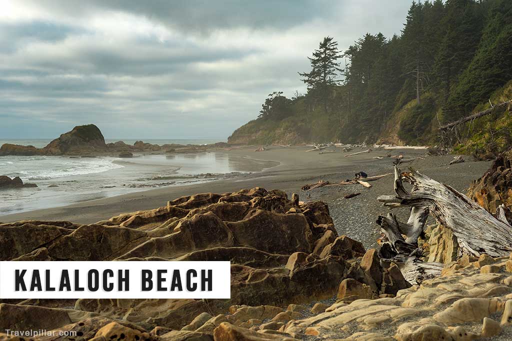 Kalaloch Beach, Olympic National Park