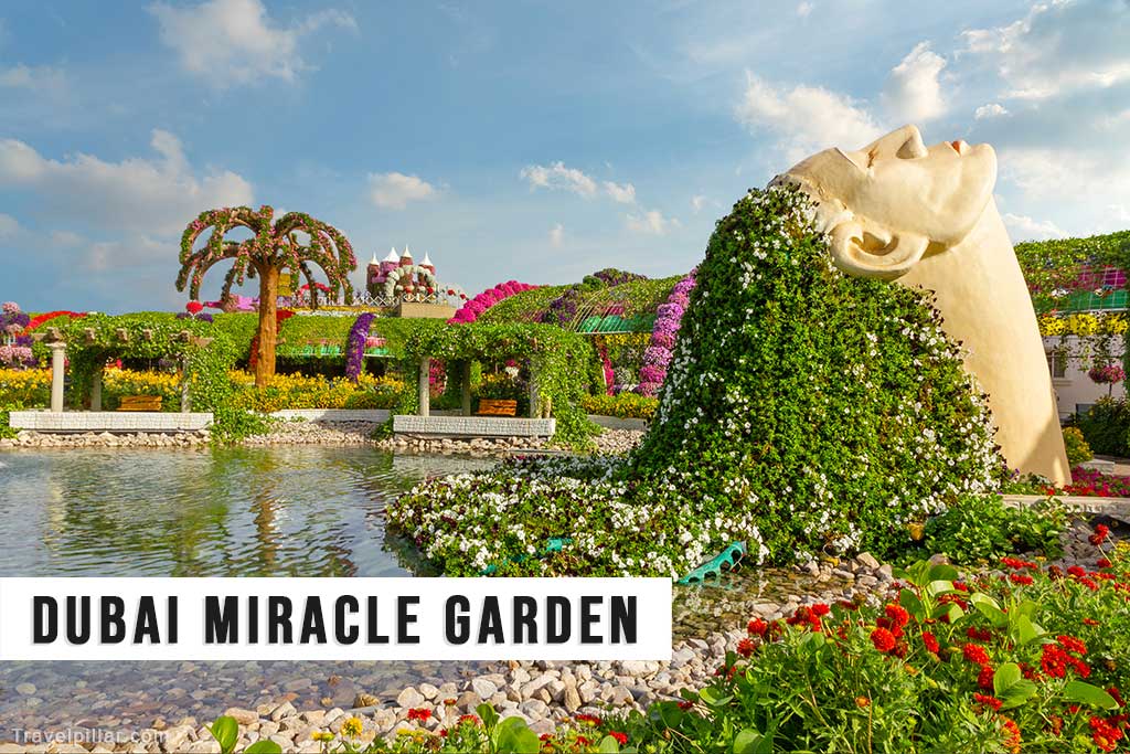 Dubai Miracle Garden